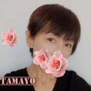 ヒメ日記 2026/03/07 10:14 投稿 草刈たまよ ワイフコレクション