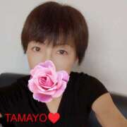 ヒメ日記 2026/03/08 23:50 投稿 草刈たまよ ワイフコレクション