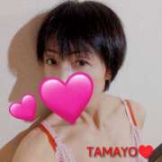 ヒメ日記 2026/03/12 23:28 投稿 草刈たまよ ワイフコレクション