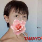 ヒメ日記 2026/03/19 10:08 投稿 草刈たまよ ワイフコレクション