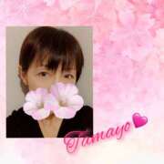 ヒメ日記 2026/04/03 10:38 投稿 草刈たまよ ワイフコレクション