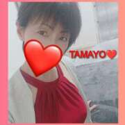 ヒメ日記 2026/04/03 20:37 投稿 草刈たまよ ワイフコレクション