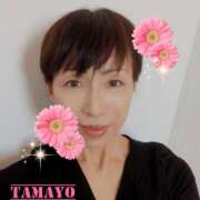 草刈たまよ ※無題 ワイフコレクション