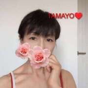 ヒメ日記 2026/04/27 16:10 投稿 草刈たまよ ワイフコレクション