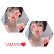 ヒメ日記 2025/10/22 03:53 投稿 草刈たまよ 美魔女エステ