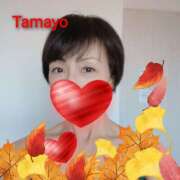 ヒメ日記 2025/11/29 12:14 投稿 草刈たまよ 美魔女エステ