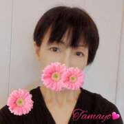 ヒメ日記 2026/02/03 09:01 投稿 草刈たまよ 美魔女エステ