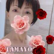 ヒメ日記 2026/02/14 06:38 投稿 草刈たまよ 美魔女エステ