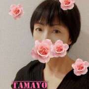 ヒメ日記 2026/02/19 10:15 投稿 草刈たまよ 美魔女エステ