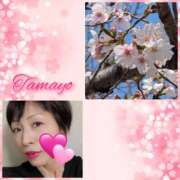 ヒメ日記 2026/04/04 08:13 投稿 草刈たまよ 美魔女エステ