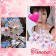 ヒメ日記 2026/04/05 06:44 投稿 草刈たまよ 美魔女エステ