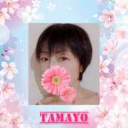 ヒメ日記 2026/04/05 19:08 投稿 草刈たまよ 美魔女エステ