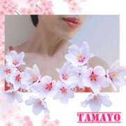 ヒメ日記 2026/04/09 10:50 投稿 草刈たまよ 美魔女エステ