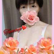 ヒメ日記 2026/04/14 15:00 投稿 草刈たまよ 美魔女エステ