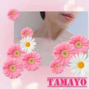 ヒメ日記 2026/04/23 11:22 投稿 草刈たまよ 美魔女エステ