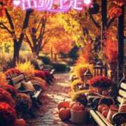 ヒメ日記 2025/10/25 13:18 投稿 いと マドンナSANSAIN