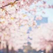 いと ご無沙汰してます🌷 マドンナSANSAIN