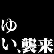 ヒメ日記 2023/11/20 19:37 投稿 ゆい ぽちゃカワ女子専門店 小田原早川店