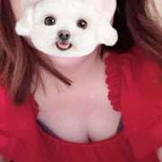 ヒメ日記 2025/08/01 11:43 投稿 菖（あやめ） 那珂川角海老