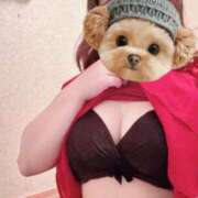 ヒメ日記 2025/08/06 10:03 投稿 菖（あやめ） 那珂川角海老