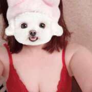 ヒメ日記 2025/08/07 09:51 投稿 菖（あやめ） 那珂川角海老