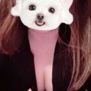 ヒメ日記 2025/08/10 10:01 投稿 菖（あやめ） 那珂川角海老