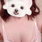 ヒメ日記 2025/08/12 15:53 投稿 菖（あやめ） 那珂川角海老