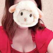 ヒメ日記 2025/08/14 10:03 投稿 菖（あやめ） 那珂川角海老