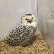 ヒメ日記 2025/08/17 09:53 投稿 菖（あやめ） 那珂川角海老