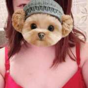 ヒメ日記 2025/08/20 09:53 投稿 菖（あやめ） 那珂川角海老