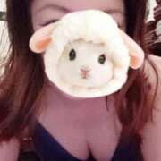 ヒメ日記 2025/08/29 10:13 投稿 菖（あやめ） 那珂川角海老