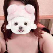 ヒメ日記 2025/08/31 10:03 投稿 菖（あやめ） 那珂川角海老