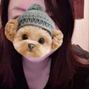 ヒメ日記 2025/09/07 07:53 投稿 菖（あやめ） 那珂川角海老