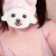 ヒメ日記 2025/09/14 10:13 投稿 菖（あやめ） 那珂川角海老