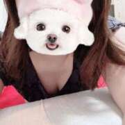 ヒメ日記 2025/09/15 10:13 投稿 菖（あやめ） 那珂川角海老