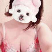 ヒメ日記 2025/09/22 10:16 投稿 菖（あやめ） 那珂川角海老