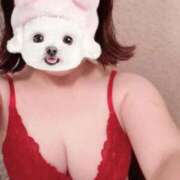 ヒメ日記 2025/10/04 10:23 投稿 菖（あやめ） 那珂川角海老