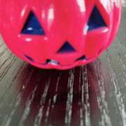 ヒメ日記 2025/10/13 08:04 投稿 菖（あやめ） 那珂川角海老