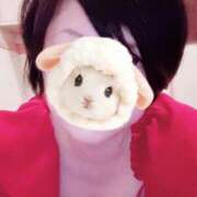 ヒメ日記 2025/11/09 12:04 投稿 菖（あやめ） 那珂川角海老