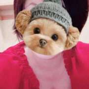 ヒメ日記 2025/11/12 11:53 投稿 菖（あやめ） 那珂川角海老