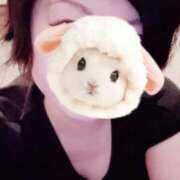 ヒメ日記 2025/11/16 11:33 投稿 菖（あやめ） 那珂川角海老