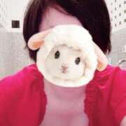 ヒメ日記 2025/11/21 10:01 投稿 菖（あやめ） 那珂川角海老