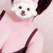 ヒメ日記 2025/11/21 13:33 投稿 菖（あやめ） 那珂川角海老