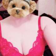 ヒメ日記 2025/11/30 11:33 投稿 菖（あやめ） 那珂川角海老