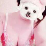 ヒメ日記 2025/12/01 09:53 投稿 菖（あやめ） 那珂川角海老