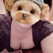 ヒメ日記 2025/12/04 08:42 投稿 菖（あやめ） 那珂川角海老