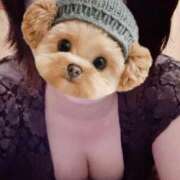 ヒメ日記 2025/12/06 10:13 投稿 菖（あやめ） 那珂川角海老