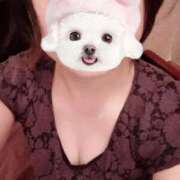 ヒメ日記 2025/12/08 10:24 投稿 菖（あやめ） 那珂川角海老