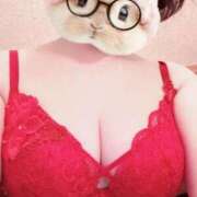 菖（あやめ） こんにちは 那珂川角海老