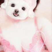 菖（あやめ） おはようございます 那珂川角海老